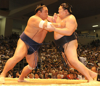 大相撲.jpg